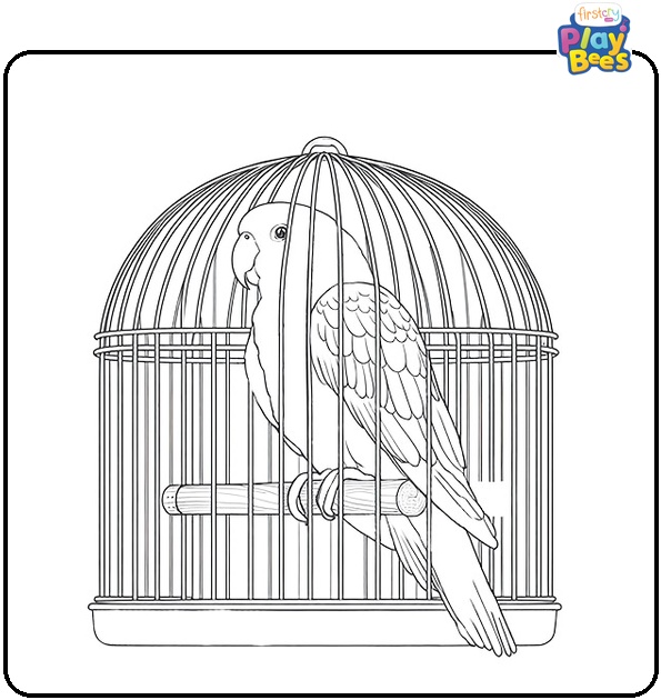 Parrot in the Cage Coloring Page Parrot in the Cage Coloring Page