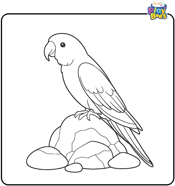 Parrot on Rock Coloring Page Parrot on Rock Coloring Page