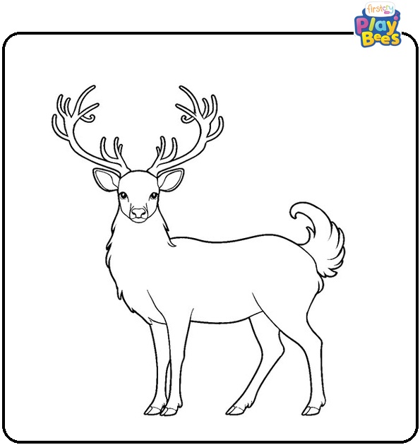 Realistic Deer Coloring Page