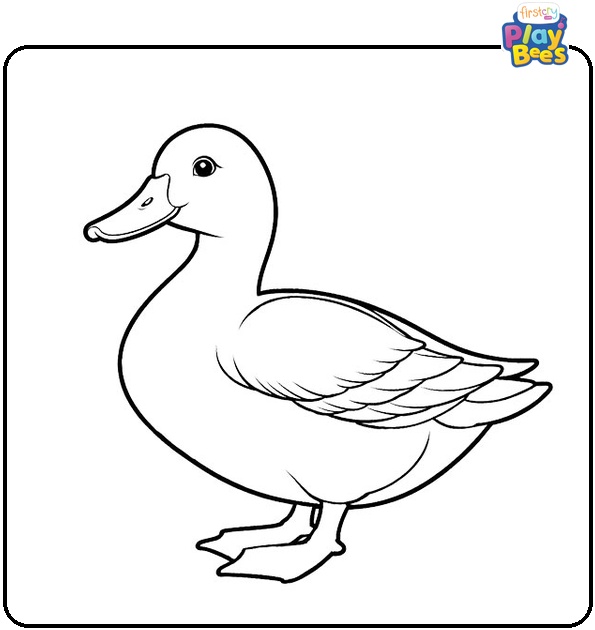 Realistic Duck Coloring Page