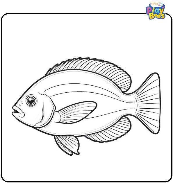 Realistic Fish Coloring Page Realistic Fish Coloring Page