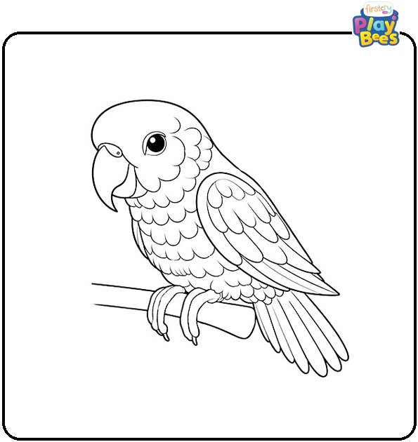 Realistic Parrot Coloring Page Realistic Parrot Coloring Page