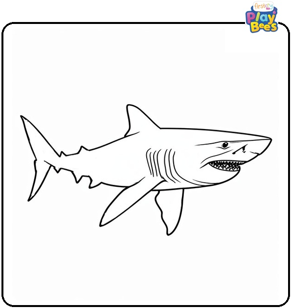 Realistic Shark Colouring Page