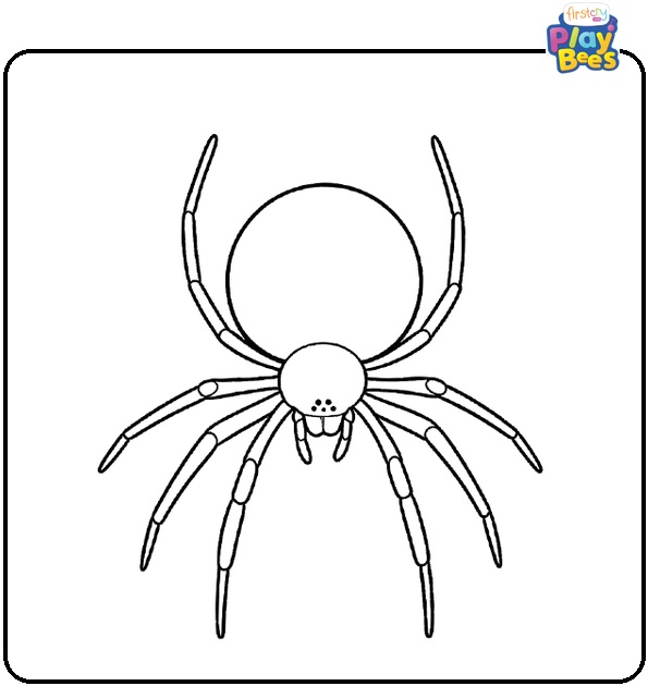 Realistic Spider Coloring Page