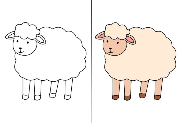 Sheep Coloring Pages – Free Printable Sheets & Pictures