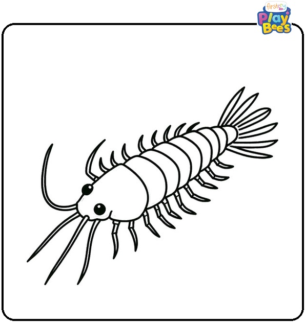Silverfish Coloring Page Silverfish Coloring Page