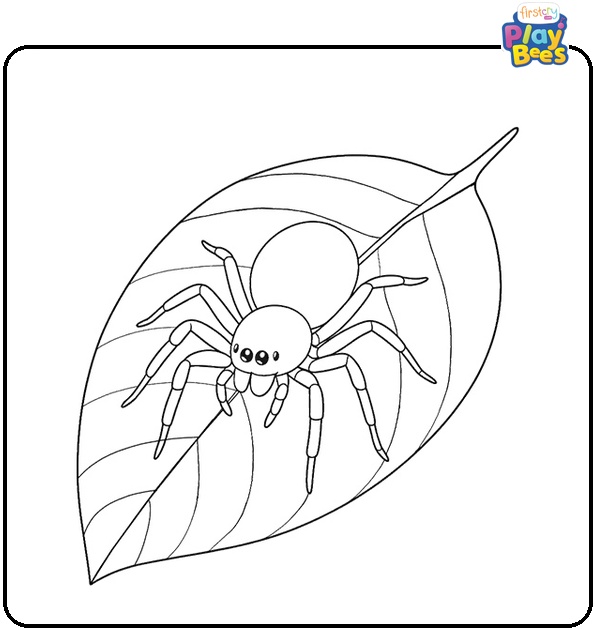 Small Spider on a Leaf Coloring Page