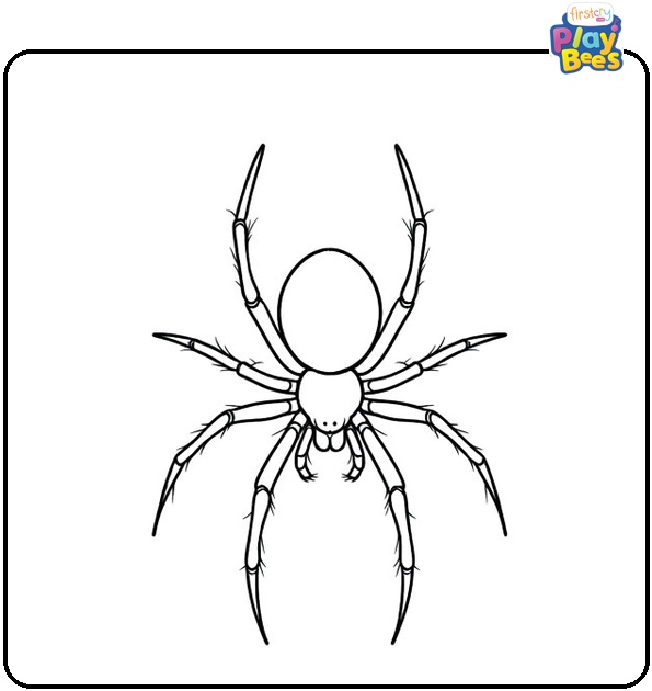 Spider Coloring Pages Spider Coloring Pages