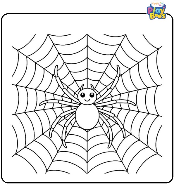 Spider On Web Coloring Page