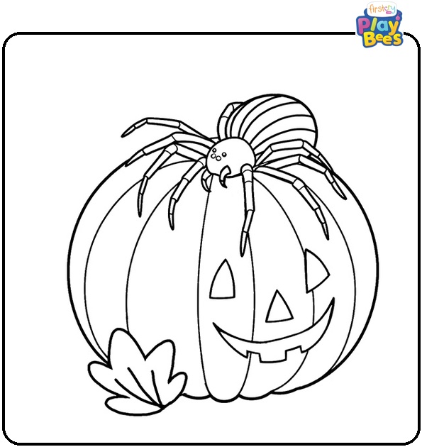 Spider on a Pumpkin Coloring Page