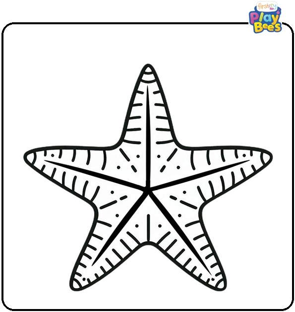 Starfish Coloring Page Starfish Coloring Page