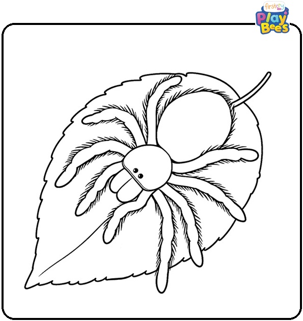 Tarantula on a Leaf Coloring Page