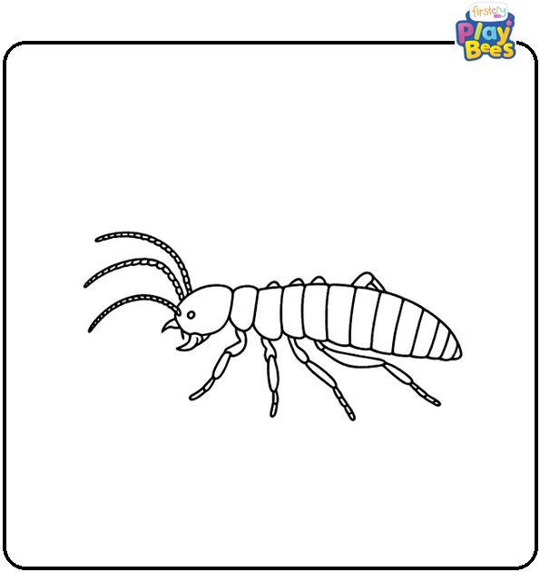Termites Coloring Page Termites Coloring Page