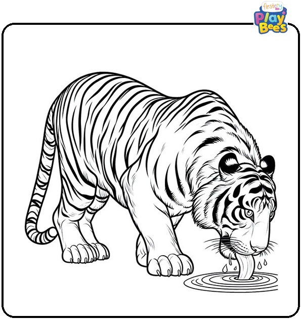 Tiger Drinking Water Coloring Page