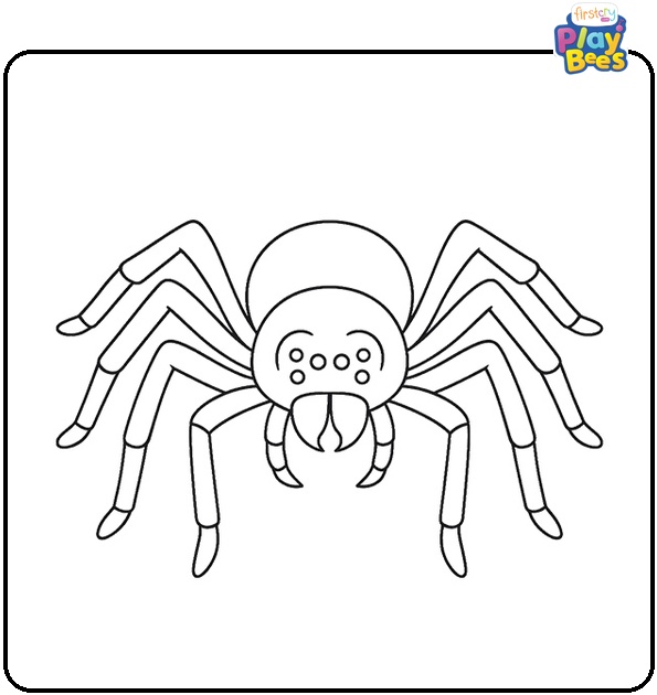 Wolf Spider Coloring Page