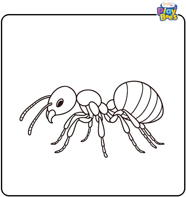 Ant Coloring Page Ant Coloring Page
