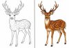 Animal Coloring Pages – Free Printable Worksheets & Pictures Animal Coloring Pages – Free Printable Sheets & Pictures