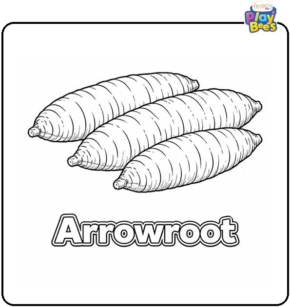 Arrowroot Coloring Page