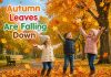 Autumn Leaves Are Falling Down Nursery Rhyme With Lyrics Autumn Leaves Are Falling Down Nursery Rhyme With Lyrics