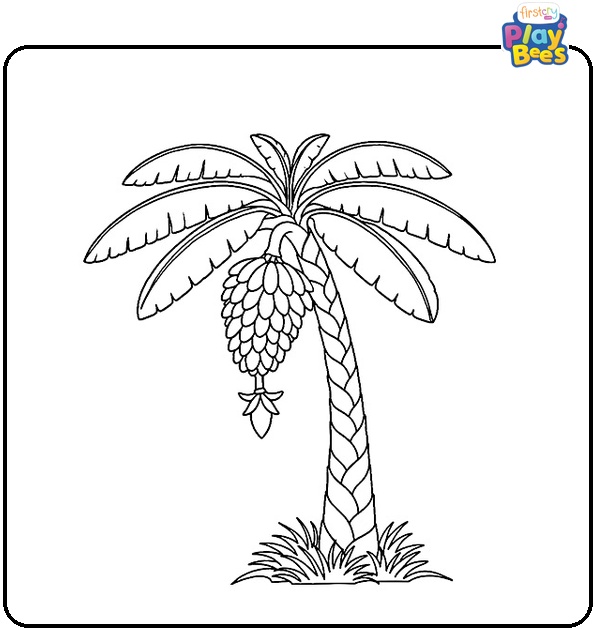 Banana Bunch Hanging from a Banana Tree Coloring Page