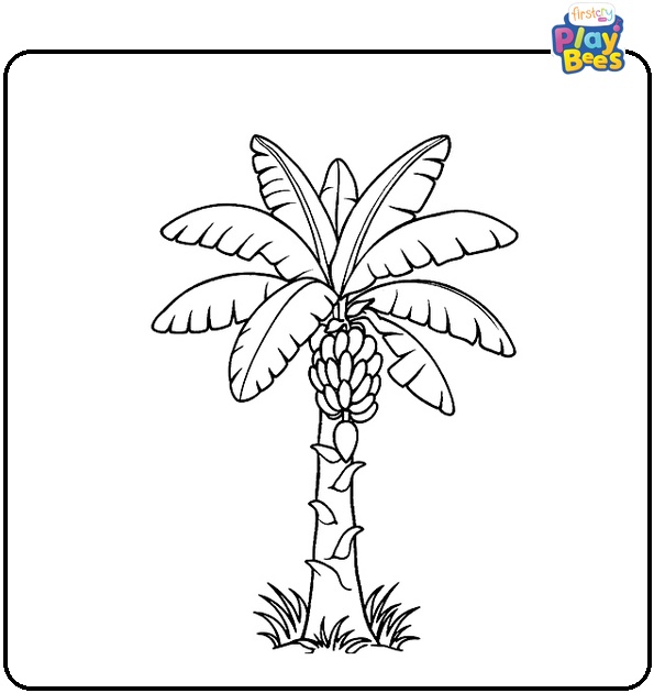 Banana Tree Coloring Page