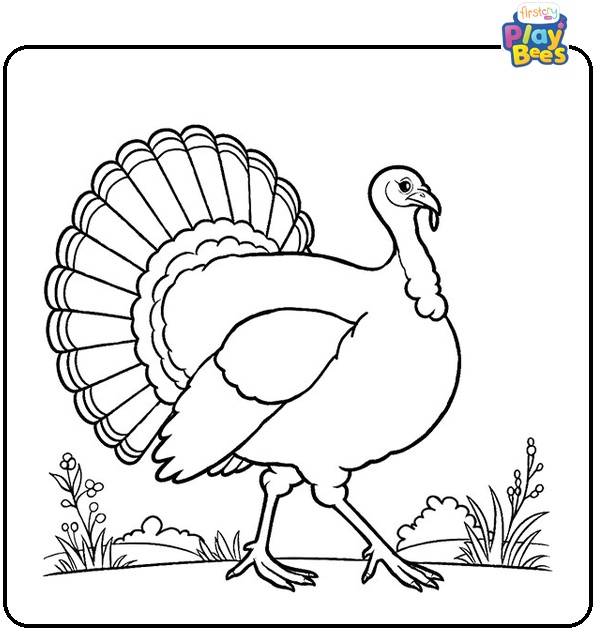 Big Turkey Walking In Nature Colouring Page
