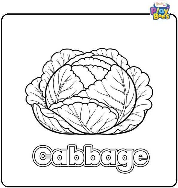 Cabbage Coloring Page