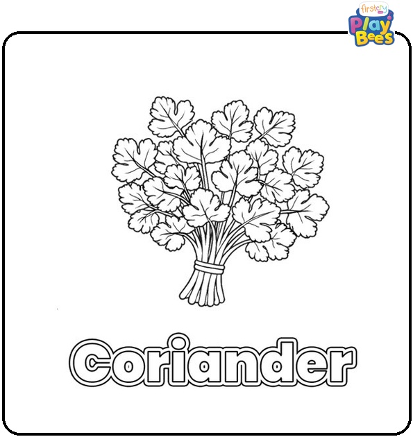 Coriander Coloring Page