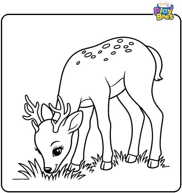 Deer Coloring Page