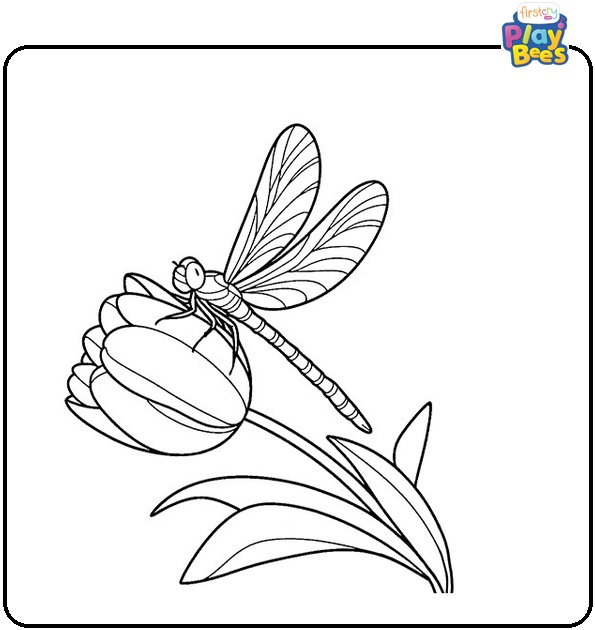 Dragon Fly on a Tulip Colouring Page