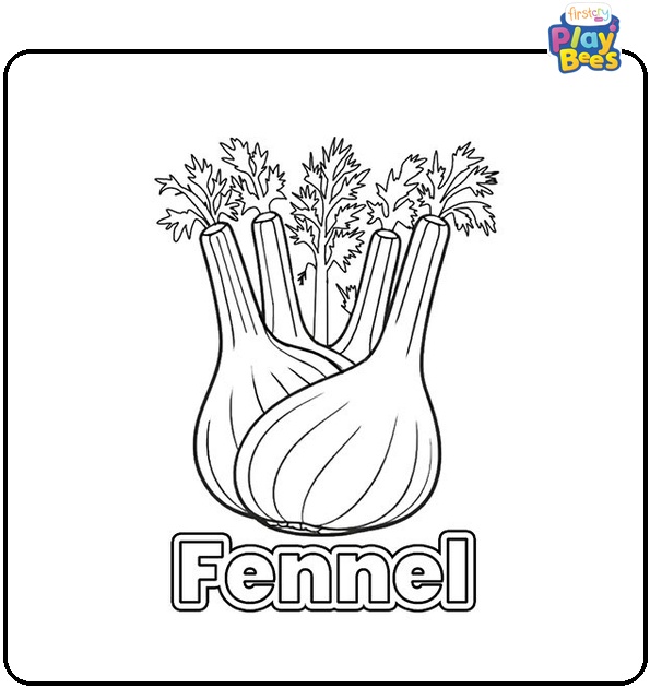 Fennel Coloring Page