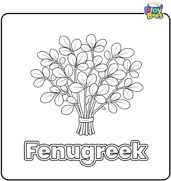 Fenugreek Coloring Page
