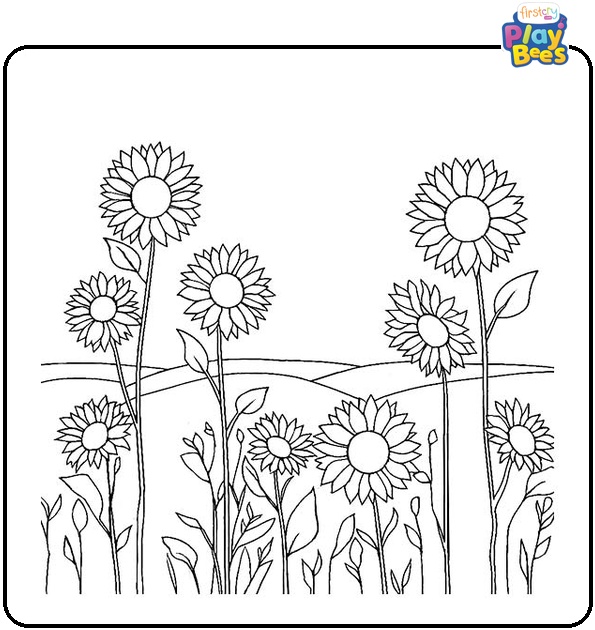 Field Of Sunflowers Coloring Page