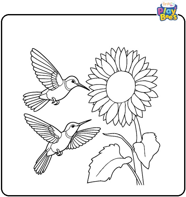 Humming Birds Flying Near a Sunflower Coloring Page