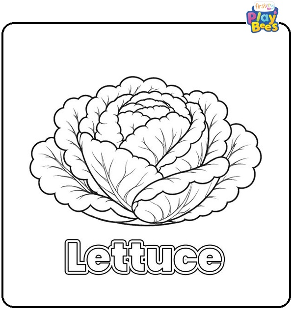 Lettuce Coloring Page