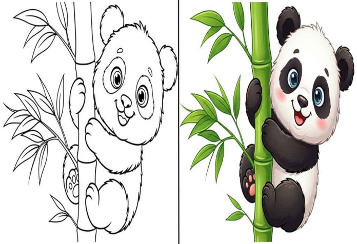 Panda Coloring Pages – Free Printable Sheets & Images