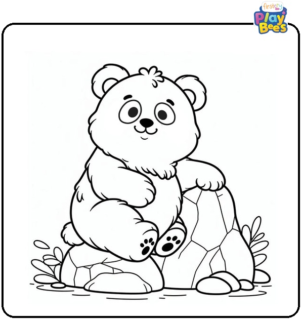 Panda on a Rock Coloring Page