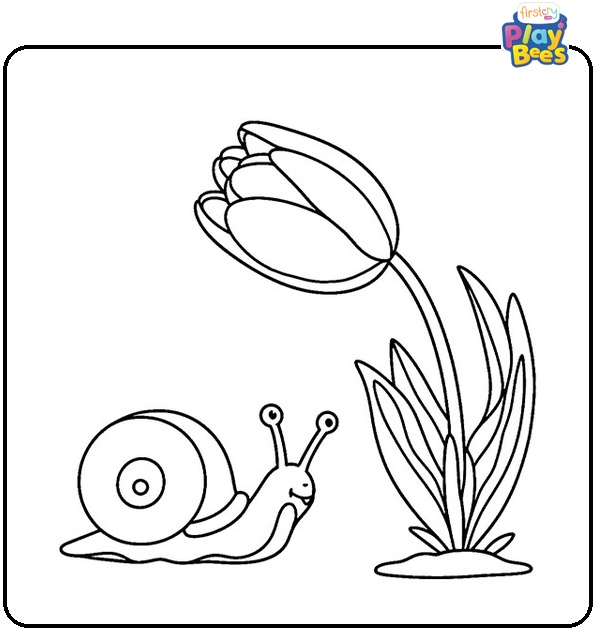 Snail Near a Tulip Colouring Page 