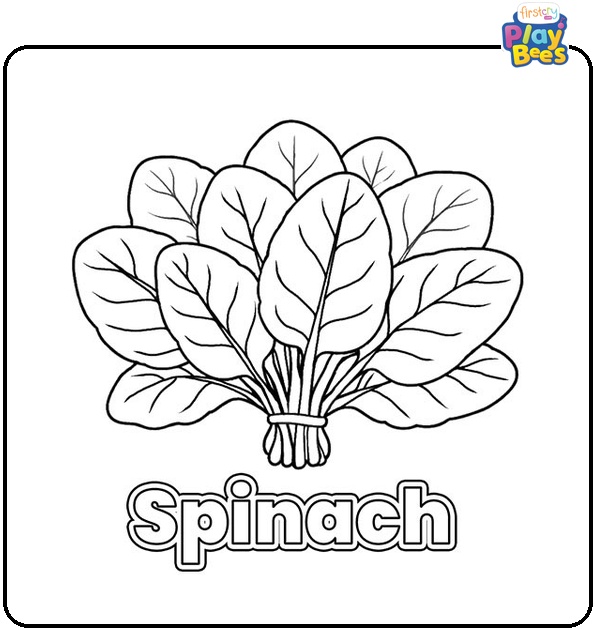 Spinach Coloring Page