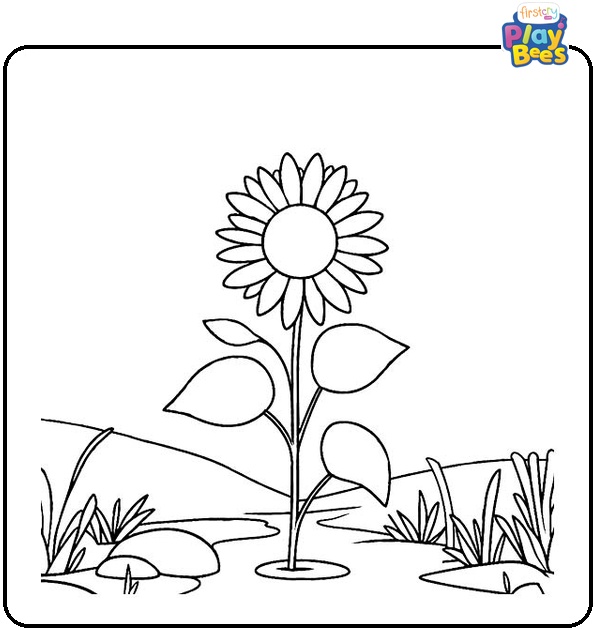 Sunflower Growing Near a Stream Coloring Page