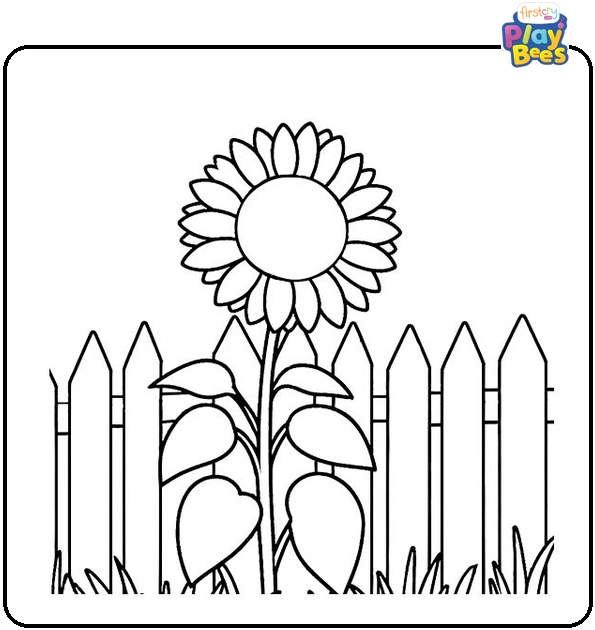 Sunflower Growing in Front of Fence Coloring Page