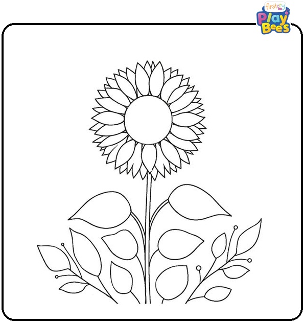 Sunflower Surrounded By Leaves Coloring Page