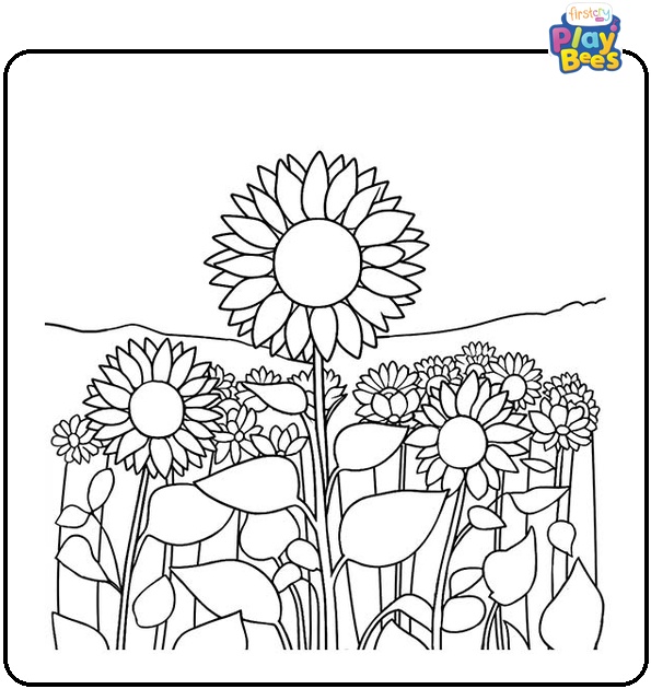 Sunflowers Growing in a Field Coloring Page