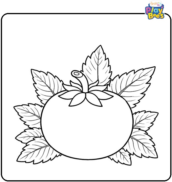 Tomato with Leafs Coloring Page