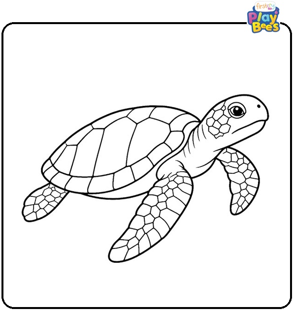 Turtle Coloring Page