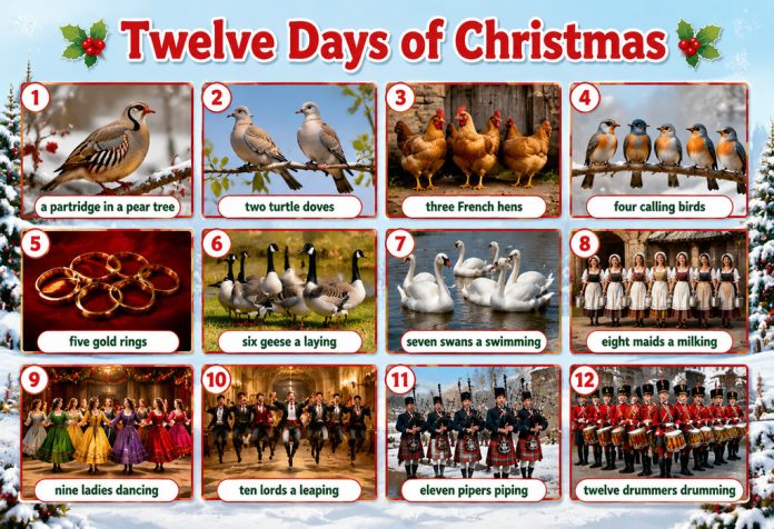 Twelve Days of Christmas Nursery Rhyme With Lyrics