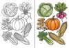 Vegetable Coloring Pages – Free Printable Sheets & Pictures Vegetable Coloring Pages – Free Printable Sheets & Pictures