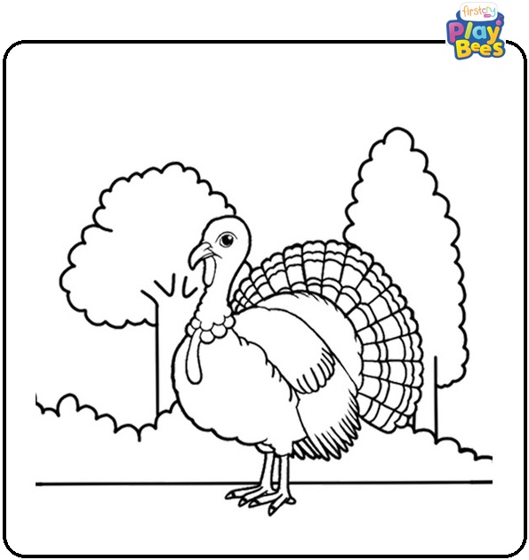Wild Turkey in the Forest Colouring Page