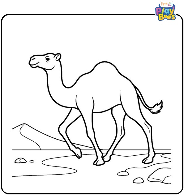 Camel Coloring Page