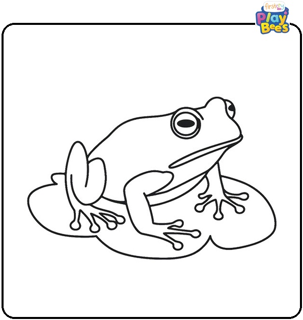 Frog Coloring Page